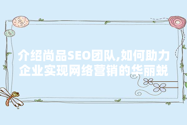 介绍尚品SEO团队,如何助力企业实现网络营销的华丽蜕变