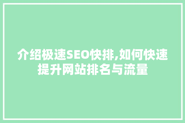 介绍极速SEO快排,如何快速提升网站排名与流量