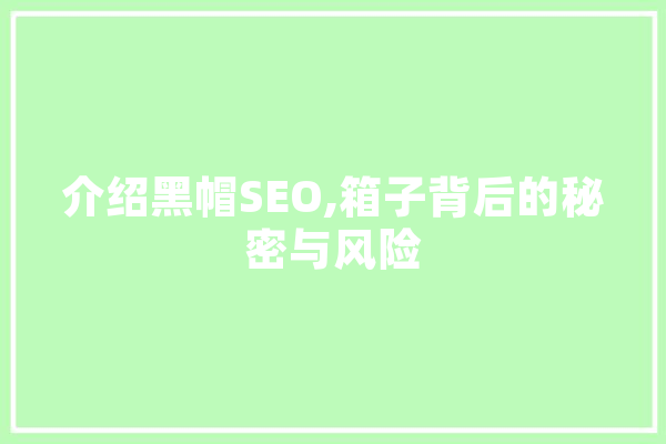 介绍黑帽SEO,箱子背后的秘密与风险