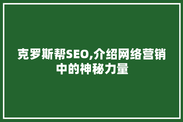 克罗斯帮SEO,介绍网络营销中的神秘力量 绘影字幕