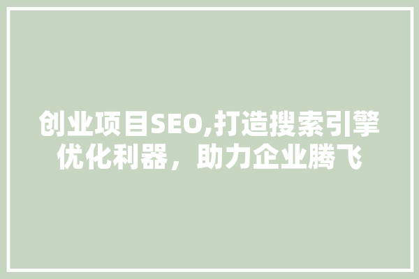 创业项目SEO,打造搜索引擎优化利器，助力企业腾飞