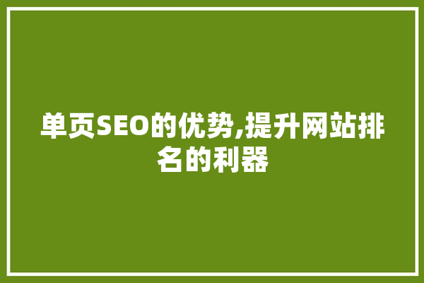 单页SEO的优势,提升网站排名的利器