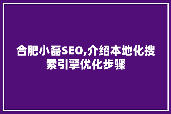 合肥小磊SEO,介绍本地化搜索引擎优化步骤