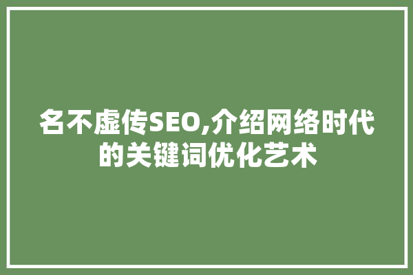 名不虚传SEO,介绍网络时代的关键词优化艺术