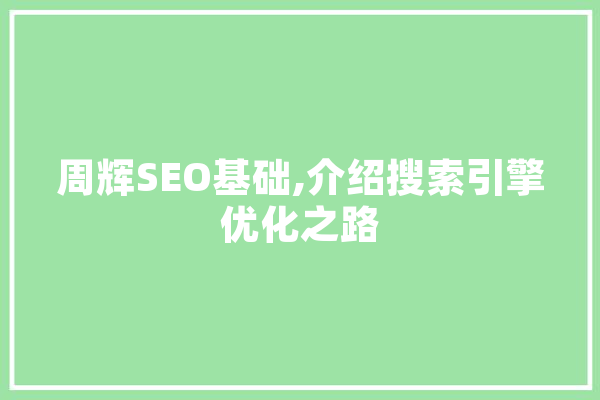周辉SEO基础,介绍搜索引擎优化之路 绘影字幕