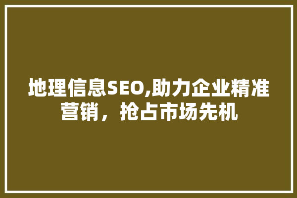 地理信息SEO,助力企业精准营销，抢占市场先机