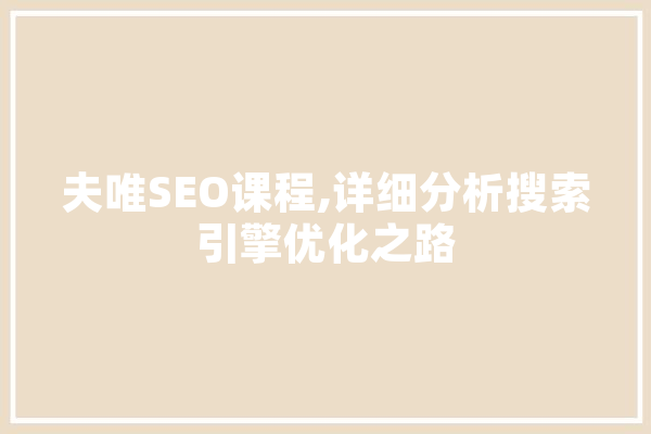 夫唯SEO课程,详细分析搜索引擎优化之路