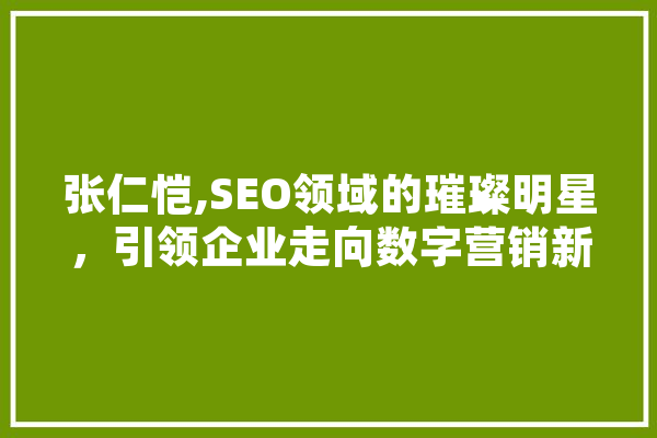 张仁恺,SEO领域的璀璨明星，引领企业走向数字营销新高峰