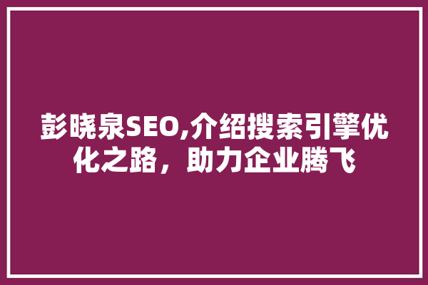 彭晓泉SEO,介绍搜索引擎优化之路，助力企业腾飞