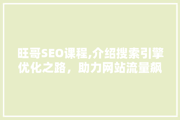 旺哥SEO课程,介绍搜索引擎优化之路，助力网站流量飙升