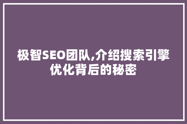 极智SEO团队,介绍搜索引擎优化背后的秘密