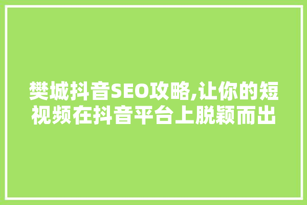 樊城抖音SEO攻略,让你的短视频在抖音平台上脱颖而出