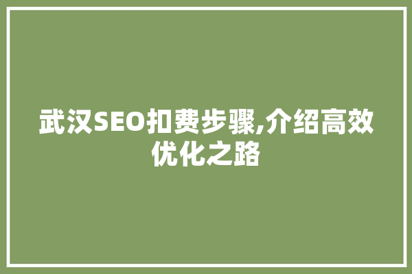 武汉SEO扣费步骤,介绍高效优化之路