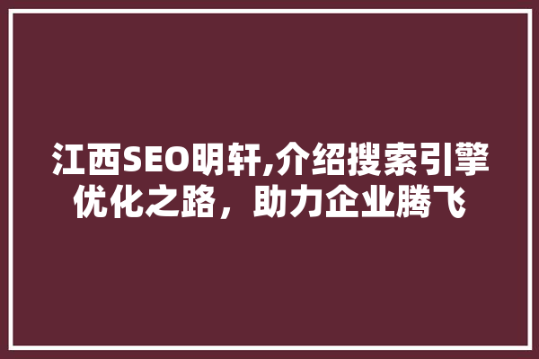 江西SEO明轩,介绍搜索引擎优化之路，助力企业腾飞
