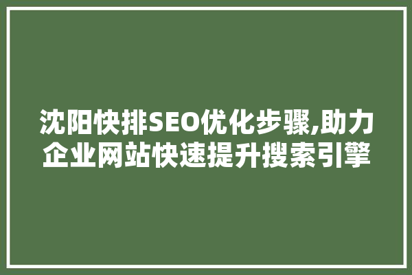 沈阳快排SEO优化步骤,助力企业网站快速提升搜索引擎排名