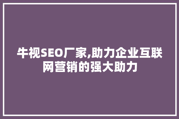 牛视SEO厂家,助力企业互联网营销的强大助力