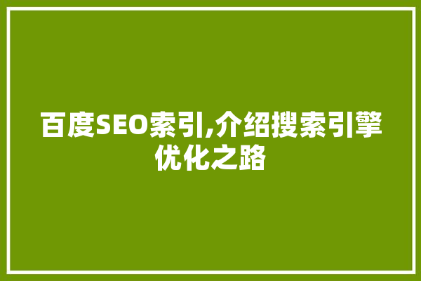 百度SEO索引,介绍搜索引擎优化之路