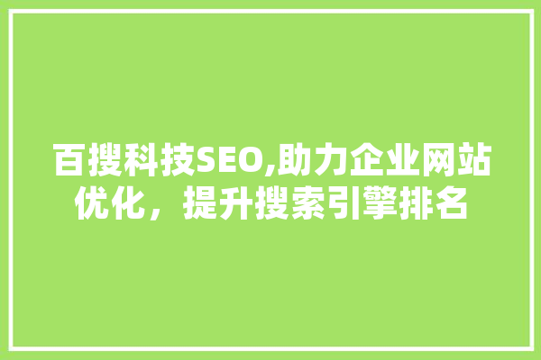 百搜科技SEO,助力企业网站优化，提升搜索引擎排名