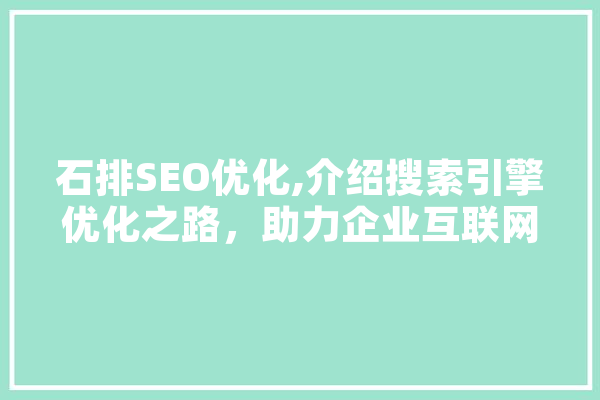 石排SEO优化,介绍搜索引擎优化之路，助力企业互联网腾飞