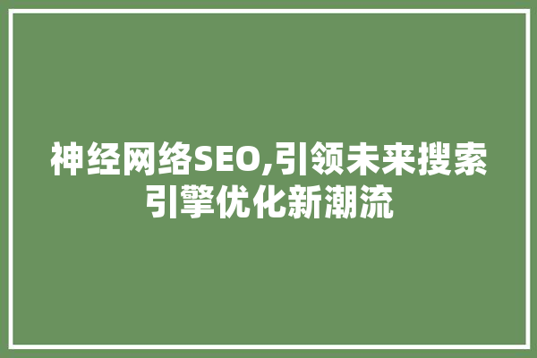 神经网络SEO,引领未来搜索引擎优化新潮流