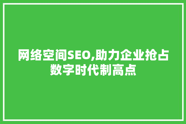 网络空间SEO,助力企业抢占数字时代制高点