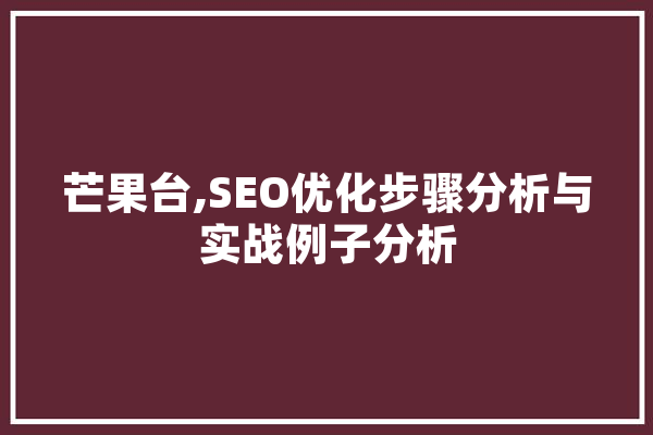 芒果台,SEO优化步骤分析与实战例子分析 云服务