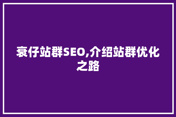 衰仔站群SEO,介绍站群优化之路 计算机
