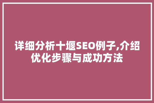 详细分析十堰SEO例子,介绍优化步骤与成功方法