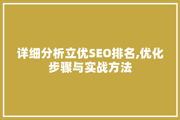 详细分析立优SEO排名,优化步骤与实战方法