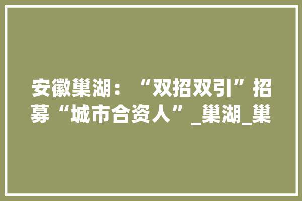 安徽巢湖：“双招双引”招募“城市合资人”_巢湖_巢湖市