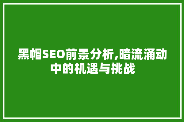 黑帽SEO前景分析,暗流涌动中的机遇与挑战