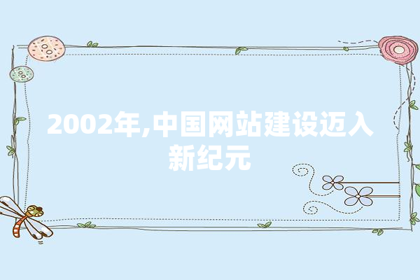 2002年,中国网站建设迈入新纪元