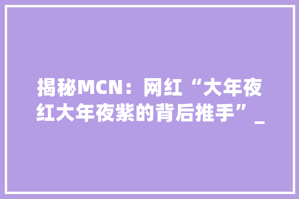 揭秘MCN：网红“大年夜红大年夜紫的背后推手”_机构_视频 计算机