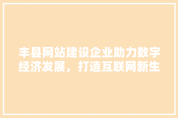 丰县网站建设企业助力数字经济发展，打造互联网新生态