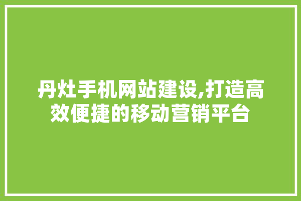 丹灶手机网站建设,打造高效便捷的移动营销平台