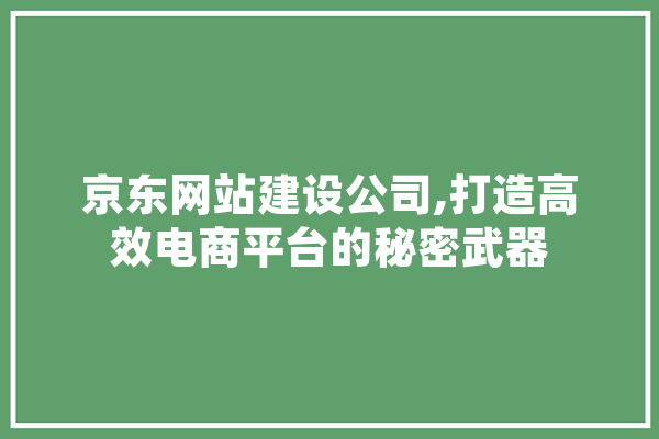 京东网站建设公司,打造高效电商平台的秘密武器
