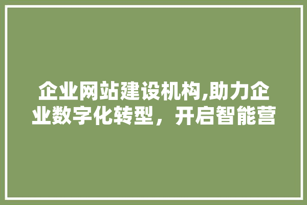 企业网站建设机构,助力企业数字化转型，开启智能营销新时代