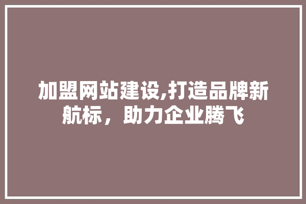 加盟网站建设,打造品牌新航标，助力企业腾飞