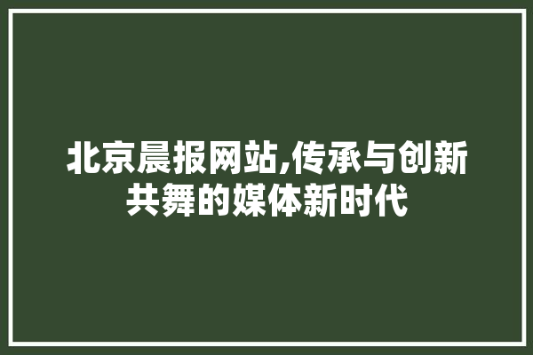 北京晨报网站,传承与创新共舞的媒体新时代