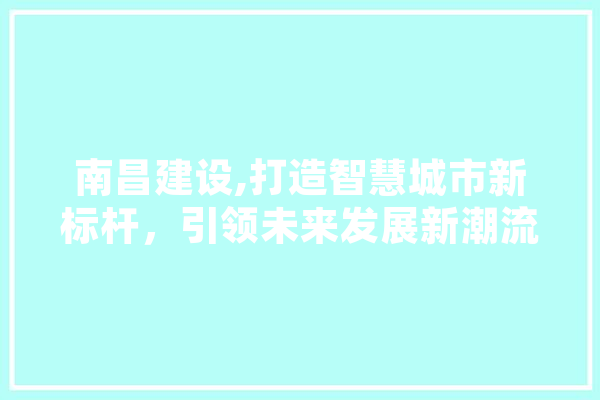 南昌建设,打造智慧城市新标杆，引领未来发展新潮流