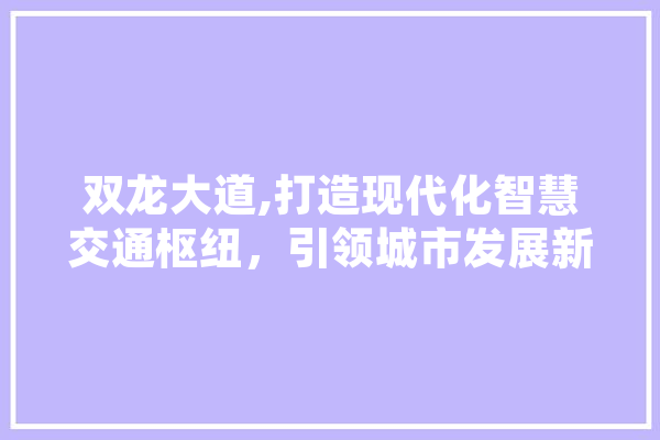 双龙大道,打造现代化智慧交通枢纽，引领城市发展新篇章