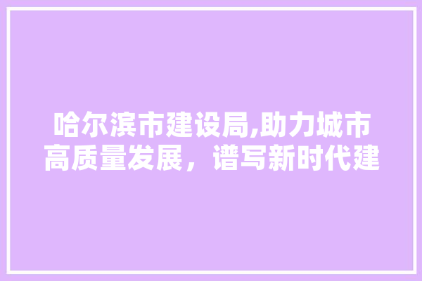 哈尔滨市建设局,助力城市高质量发展，谱写新时代建设新篇章