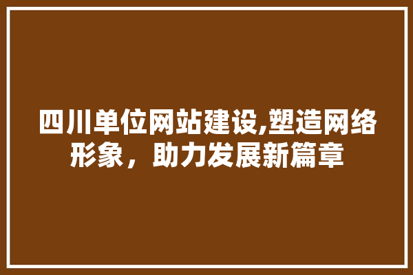 四川单位网站建设,塑造网络形象，助力发展新篇章
