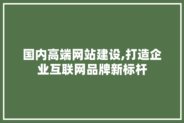 国内高端网站建设,打造企业互联网品牌新标杆
