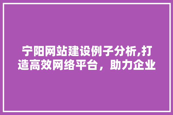 宁阳网站建设例子分析,打造高效网络平台，助力企业腾飞