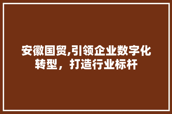 安徽国贸,引领企业数字化转型，打造行业标杆