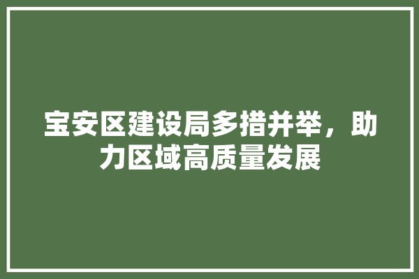 宝安区建设局多措并举，助力区域高质量发展