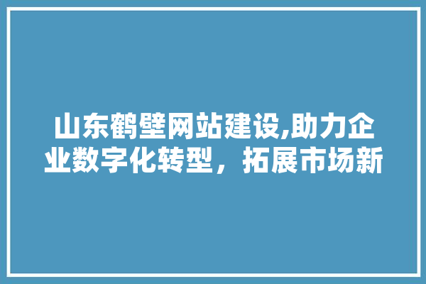 山东鹤壁网站建设,助力企业数字化转型，拓展市场新空间