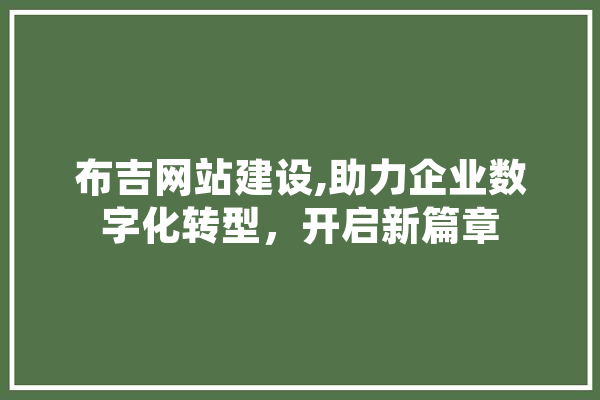 布吉网站建设,助力企业数字化转型，开启新篇章