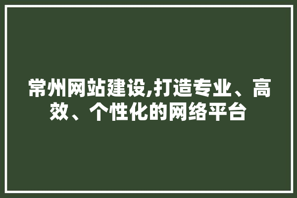 常州网站建设,打造专业、高效、个性化的网络平台